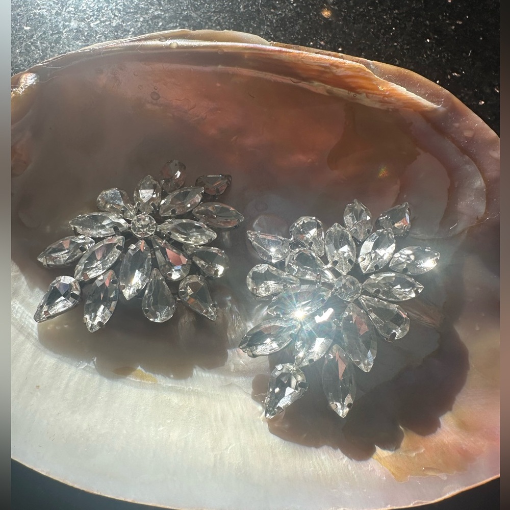 Vintage crystal show clip ons